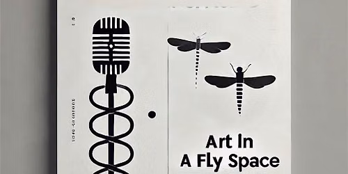 Art in a Fly Space