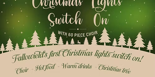 Christmas Lights Switch on
