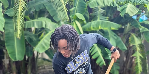 Food Forest Workday: Open to Everyone!