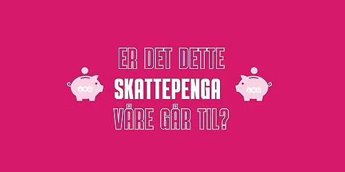 Er det dette skattepenga v\u00e5re g\u00e5r til?