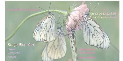 Stage Bien-\u00eatre Danse, cr\u00e9ativit\u00e9 et nature