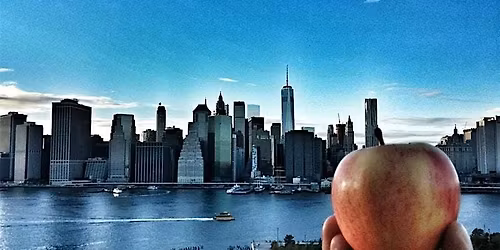 A Day in the Big Apple
