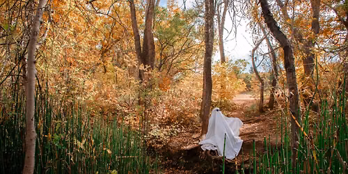 Creepy Colorado History
