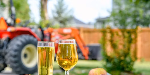 CIDER FESTIVAL with Small Plate Ploughmans. 