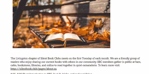 Silent Book Club Meeting