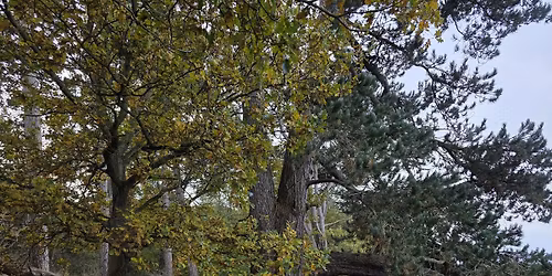 De 4 vogtere - Et liv med v\u00e6rdighed & stolthed