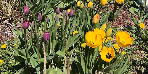 All Breed Super Health Clinic 