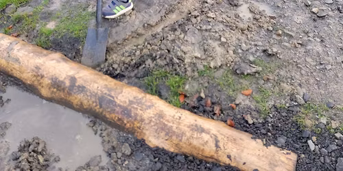 volunteer trail maintenance zona moller