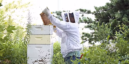 Meet the Beekeeper