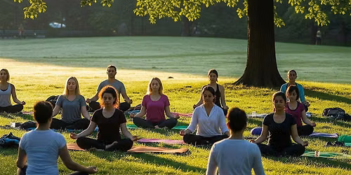 Weekly mindfulness meditation meet-up in Central Park