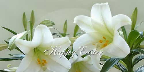 Peace of Mind Presentation