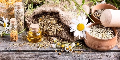 S\u00cdLA L\u00c9\u010cIV\u00ddCH ROSTLIN - beseda MUDR. ZBY\u0147KA ML\u010cOCHA