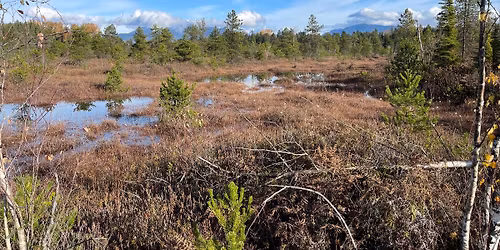 LFN Event - Fort Langley Bird Count