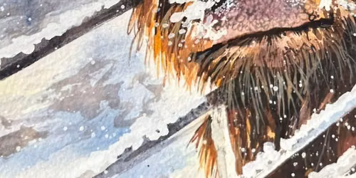 Snowy Highland Cow Watercolour Workshop with Rita Gould