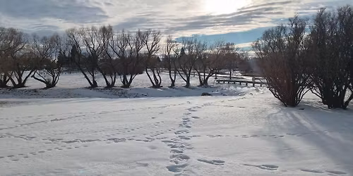 pow wow on Elphinstone street GDI