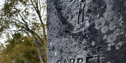 Gunntown Cemetery Paranormal Night Walk (Limited to 4 guests) *SOLD OUT*