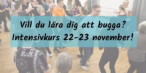 Grundkurs bugg - intensivkurs