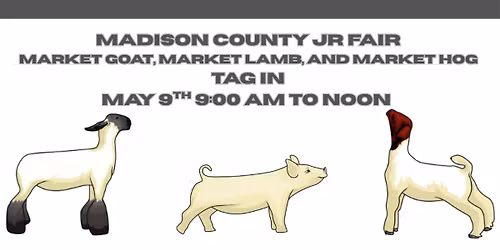 Market Goat, Market Lamb, and Market Hog Tag IN 