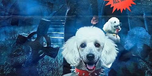 Nightmare On 22 Street: HALLOWEEN NIGHT COSTUME PARTY