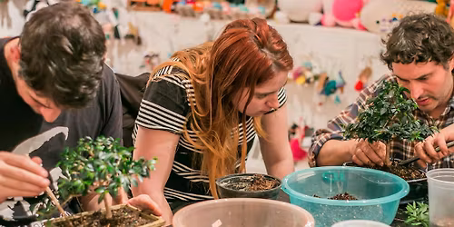 Bonsai Workshop