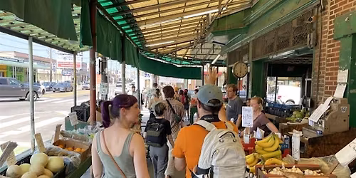 Philly Pigeon Tour - West Philly