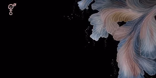 Hyphae Collective - Poetry and Music Jam