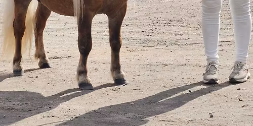 Sommarutst\u00e4llning f\u00f6r alla raser.