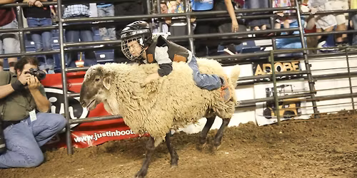 Mutton Bustin' at the South Texas State Fair