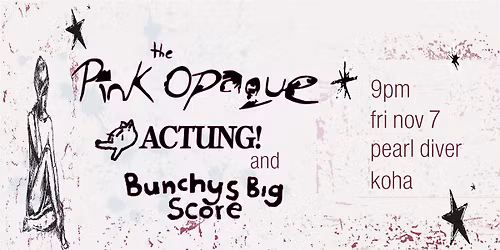 The Pink Opaque | ACTUNG! | Bunchys Big Score @ Pearl Diver