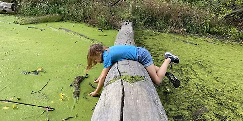 Nature-Based Therapy: (re)Discovering the Power of Play and Awe