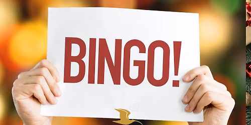 Festive Bingo Night
