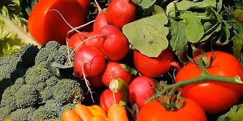 Farmers Market Opening Day