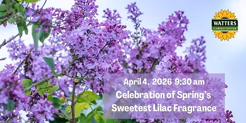 Free Garden Class: Celebration of Spring's Sweetest Lilac Fragrance