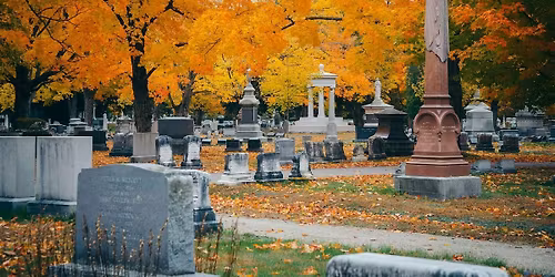 MTN OUTdoors: Late Autumn Plant and Tree Walk