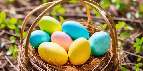 Easter Egg Hunt- Age group: 9-11 years old