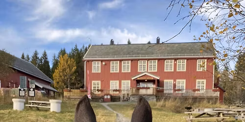 Felles tur til R\u00f8nningen i Bymarka