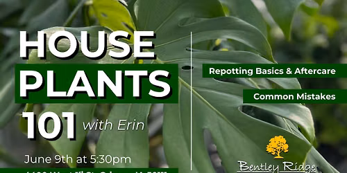 Houseplants 101 with Erin
