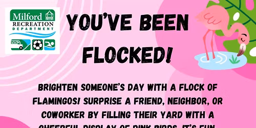 You've Been Flocked!