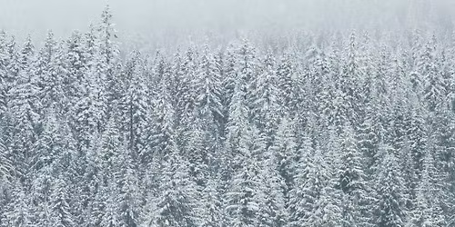 25th Annual Froth Barrel Tourney