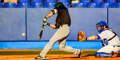Campbell Fighting Camels at UNC Charlotte 49ers Baseball