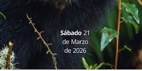 Avistamiento de fauna en el Parque natural Chingaza