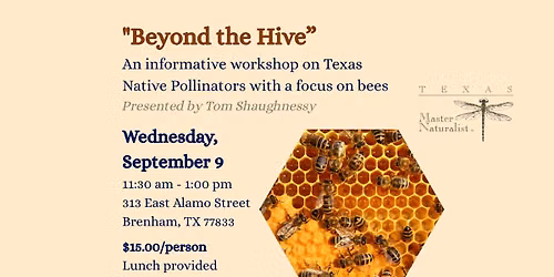 Beyond the Hive Informative Lunch Workshop