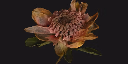 EXHIBITION OPENING: POSTWORLD