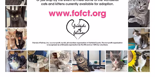 Looking For Love Adoption Event