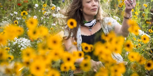 Herbal Magic: Amanda Edmiston on 'Collected Curiosities'