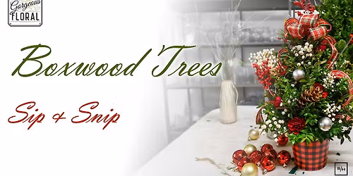Boxwood Trees Sip & Snip