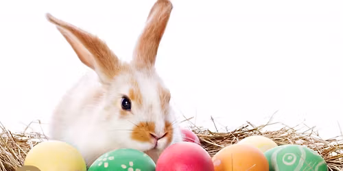 Breakfast with the Bunny \ud83d\udc30 