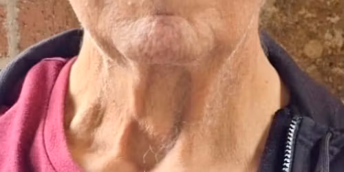 Celebration of Life for Samuel Sirianni