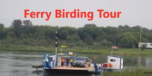 Ferry Birding Tour - Saskatoon