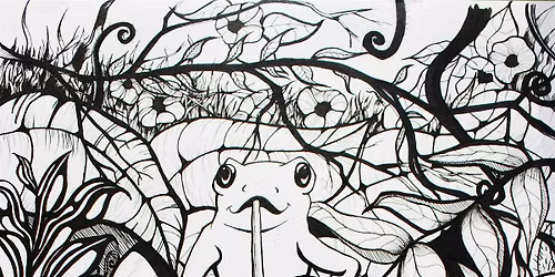 DRAWING With INK for Beginners - 4 Week Class